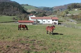 Arangoiti-ikastola-Beintza40